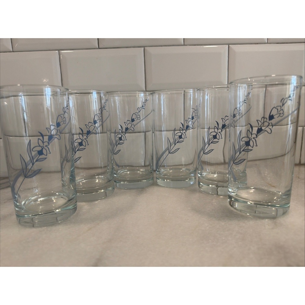 Rare Set‎ Of 6 Vintage Libbey Glasses With Blue Flowers GW0021